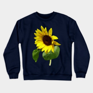 Sunflowers - Sunflower Gazing Down Crewneck Sweatshirt